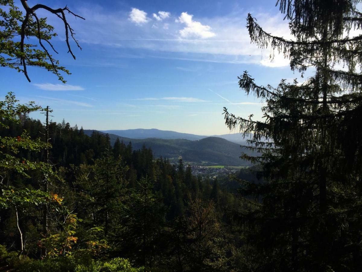 Ferienwohnungen Haus Elisabeth Bodenmais Esterno foto